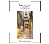Street in Venice Cross Stitch Pattern - Mitchell Wolf: Regular and Large Print Cross Stitch Pattern