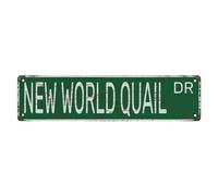 Street Sign Metal Tin Signs New World Quail Dr Funny Vintage Slim Street Tin Signs 16 X 4 Inch Wall Art Decor Iron Poster For Home Farmhouse Bar Cafe Yard Indoor Outdoor Gift
