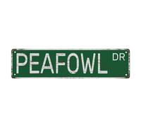 Street Sign Metal Tin Signs Peafowl Dr Funny Vintage Slim Street Tin Signs 16 X 4 Inch Wall Art Decor Iron Poster for Home Farmhouse Bar Cafe Garage Man Cave Gifts