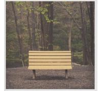 STREETLIGHT MANIFESTO - THE HANDS THAT THIEVE (CLEAR VINYL) [VINYL]