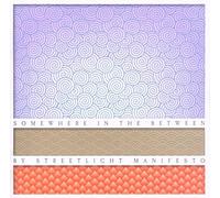 STREETLIGHT MANIFESTO - SOMEWHERE IN BETWEEN (CLEAR VINYL) [VINYL]