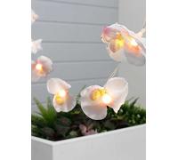Gardenwize - 2m x 20 Piece Solar Powered Bright Bulb Garden String Lights, Pathway Lights - Decorative Garden Decorations No Running Costs (Frangipani Flower)