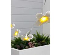 Streetwize 3.8m Solar Frangipani Flower LED String Lights (20 Piece)