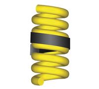 Streetwize LWACC42 Spring Assister PO5 (40-50) 2 Pack