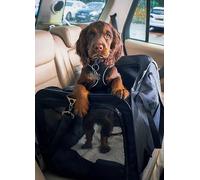 Streetwize Deluxe Collapsible Pet Car Kennel Black