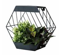 Streetwize Garden 29cm Hexagonal Metal Solar Wall Planter