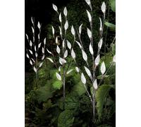 Streetwize Set of 3 Outdoor Solar Powered Tree Branch Lights White
