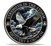 Strength in The Storm Sobriety Recovery Coin - AA Medallion with Serenity Prayer, Inspirational Challenge Coin for Addiction Recovery, Motivation, and Healing