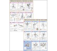 Strength Training Anatomy Poster Series