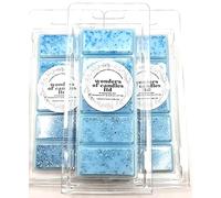 Stress Relife Rosemary & Eucalyptus Fragrance Coconut Wax Melt Bar 55gm Snap Bars Highly Scented Luxury Quality Hand Crafted in London Vegan friendly