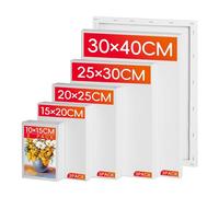 Stretched Canvas for Painting, 15 Pack 280GSM Cotton Canvases on Pine Wood Frames, Multi Size 10x15-30x40cm, Acid-Free & Triple Primed for Acrylic, Oil & Watercolour, Artists & Beginners