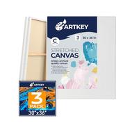 Stretched Canvases for Painting 30x36 Inch 3-Pack, 12.3 oz Triple Primed Acid-Free 100% Cotton Blank Canvas, Art Canvases for Oil Paint Acrylics Pouring & Wet Art Media, Pour Painting
