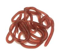 Stretchy Gag Toys, 10 Flexible Earthworm Figures, Practical and Realistic Prank Accessories | Funny Reusable Trick Accessories for Family, Amig