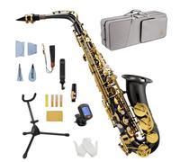 STRICH Eb Alto Saxophone Brass Student Beginner Alto Sax Kit with Hard Case Stand Neck Strap Mouthpiece and Reeds for School Band Home Practice, SSA-31B, Black