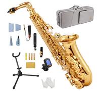 STRICH Eb Alto Saxophone Brass Student Beginner Alto Sax Kit with Hard Case Stand Neck Strap Mouthpiece and Reeds for School Band Home Practice, SSA-31G, Gold
