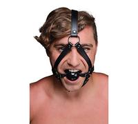 Strict Head Harness with Ball Gag, Black