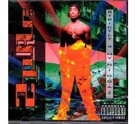 Strictly 4 My N.I.G.G.A.Z. by 2Pac (0100-01-01j