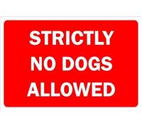 Strictly no dogs allowed sign - Self adhesive sticker (400mm x 300mm)
