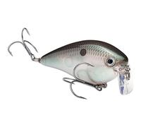 Strike King (HCKVD2.5W-568) KVD 2.5 Wake Bait Fishing Lure, 568 - Green Gizzard Shad, 3/8 oz, Unique Clacking Sound