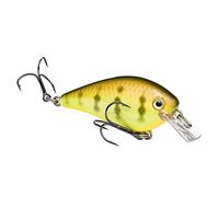 Strike King HCKVDS1.0-650 KVD Square Bill 1.0 Chartreuse Perch