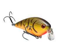 Strike King (HCKVDS1.5SH-564 KVD 1.5 Shallow Squarebill Fishing Lure, 564 - Orange Belly Craw, 3/8 oz, Black Nickel Hooks