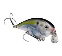 Strike King (HCKVDS1.5SH-699) KVD 1.5 Shallow Squarebill Fishing Lure, 699 - Natural Shad, 3/8 oz, Black Nickel Hooks