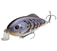 Strike King Hybrid Hunter Jr Blue Craw