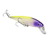 Strike King KVD Jerkbait 2 Hook,Pro Purple Headed Hammer