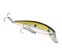 Strike King KVD Jerkbait 200 2 Hook/Chrome Gold Black, 0.0408