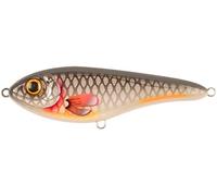 Strike Pro Baby Buster Lure - C649F - Grey Roach
