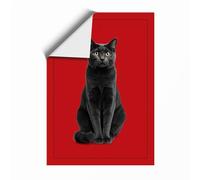 Striking Black Cat Modern Unframed Wall Art Print A3 (42×29.7cm), Wall Decor for Living Room, Bedroom, Office & Home, Art Gift