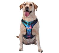 Striking Butterflies Large Printed pet Traction Vest for Pets to wear When Walking The Dog or Climbing Mountains