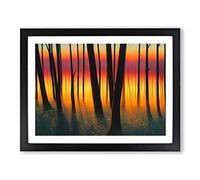 Striking Forest Sunset Vol.4 Framed Print | A4 Black Framed Wall Art | Ready to Hang | Modern Landscape Picture | Living Room Bedroom Lounge Office