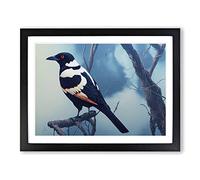 Striking Magpie Bird Framed Print | A3 Black Framed Wall Art | Ready to Hang | Modern Nature Picture | Living Room Bedroom Lounge Office