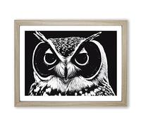 Striking Owl Art Vol.1 Framed Print | A3 Oak Framed Wall Art | Ready to Hang | Modern Animal Picture | Living Room Bedroom Lounge Office