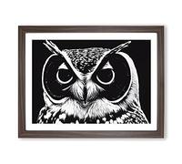Striking Owl Art Vol.1 Framed Print | A4 Walnut Framed Wall Art | Ready to Hang | Modern Animal Picture | Living Room Bedroom Lounge Office