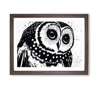 Striking Owl Art Vol.2 Framed Print | A4 Walnut Framed Wall Art | Ready to Hang | Modern Animal Picture | Living Room Bedroom Lounge Office