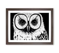 Striking Owl Art Vol.3 BLK Framed Print | A2 Walnut Framed Wall Art | Ready to Hang | Modern Animal Picture | Living Room Bedroom Lounge Office