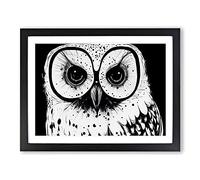 Striking Owl Art Vol.3 BLK Framed Print | A3 Black Framed Wall Art | Ready to Hang | Modern Animal Picture | Living Room Bedroom Lounge Office