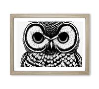 Striking Owl Art Vol.5 WHT Framed Print | A3 Oak Framed Wall Art | Ready to Hang | Modern Animal Picture | Living Room Bedroom Lounge Office