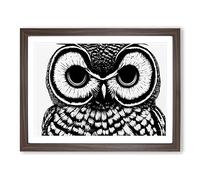 Striking Owl Art Vol.5 WHT Framed Print | A4 Walnut Framed Wall Art | Ready to Hang | Modern Animal Picture | Living Room Bedroom Lounge Office