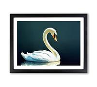 Striking Swan Framed Print | A3 Black Framed Wall Art | Ready to Hang | Modern Animal Picture | Living Room Bedroom Lounge Office
