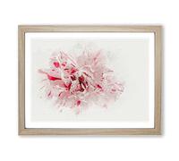 Striking White & Pink Carnation In Abstract Modern Art Framed Wall Art Print, Ready to Hang Picture for Living Room Bedroom Home Office Décor, Oak A2 (64 x 46 cm)