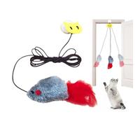 String Cat Toy,Teaser | Hangable Interactive Feather Cat Teaser with Elastic String for Most Cats and Kittens to Exercise