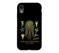 String of Dolphins Curio x peregrinus Botanical Anatomy Case for iPhone XR