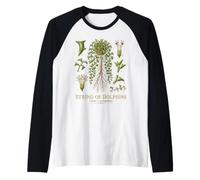 String of Dolphins Curio x peregrinus Botanical Anatomy Raglan Baseball Tee
