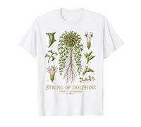 String of Dolphins Curio x peregrinus Botanical Anatomy Value Graphic T-Shirt, Men, White, M
