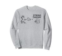 String Theory Cat Math Science Nerdy funny teacher men women Sweatshirt