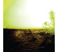 Strings Of Consciousness & Angel - Strings of Consciousness and Angel [VINYL]