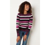 Stripe Crew Neck Jumper M&Co Purple 18-20